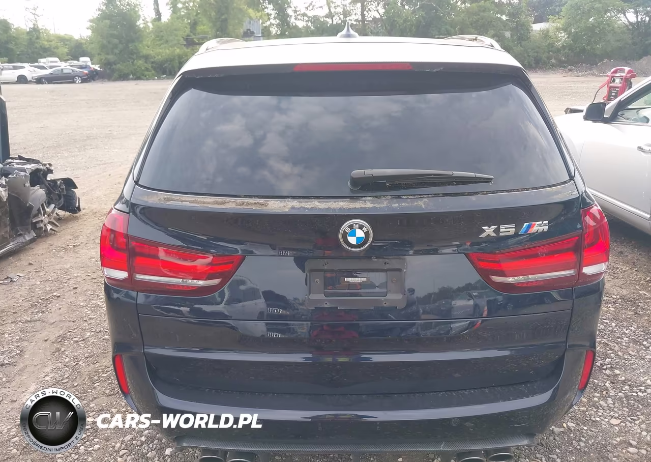2016 BMW X5 M VIN:5YMKT6C56G0R78174 - 16