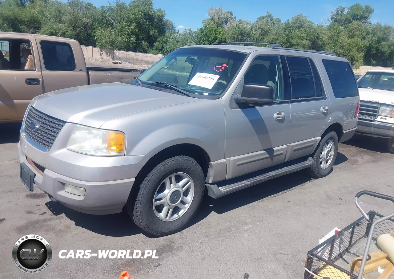 2003 Ford Expedition Xlt VIN:1FMPU16L23LA20498 - 2
