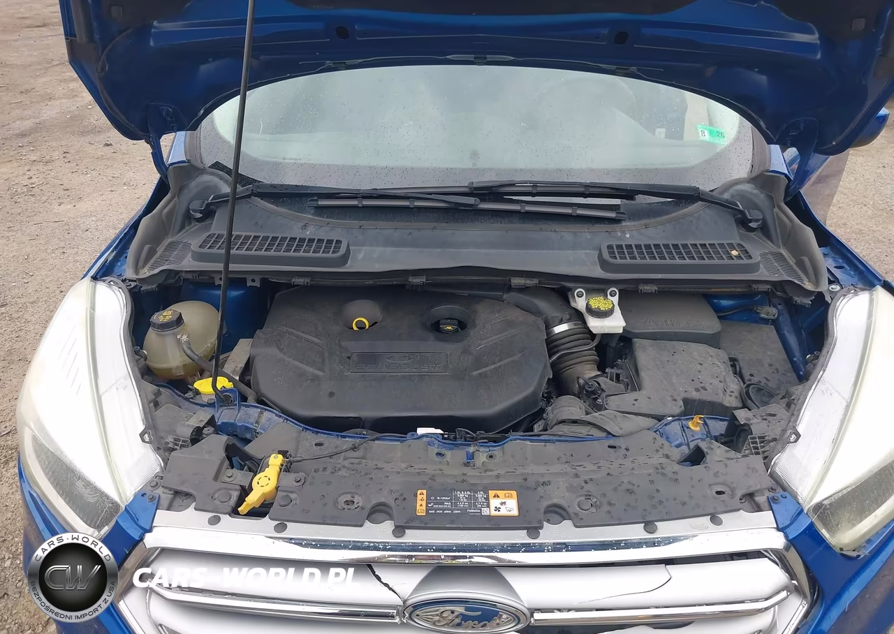2017 Ford Escape Se VIN:1FMCU9G90HUB96984 - 10