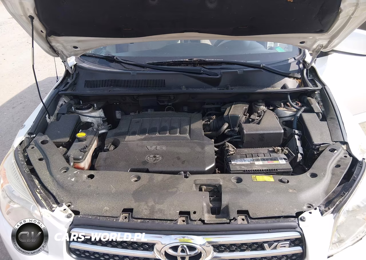 2006 Toyota Rav4 Limited V6 VIN:JTMBK31V665004869 - 10