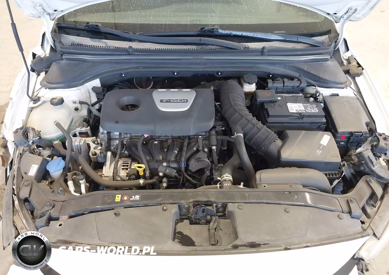 2017 Hyundai Elantra Sport VIN:KMHD04LB1HU347777 - 10