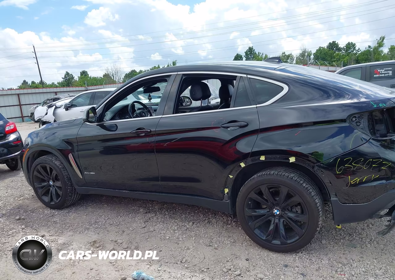 2018 BMW X6 xDrive35I VIN:5UXKU2C50J0X49235 - 15