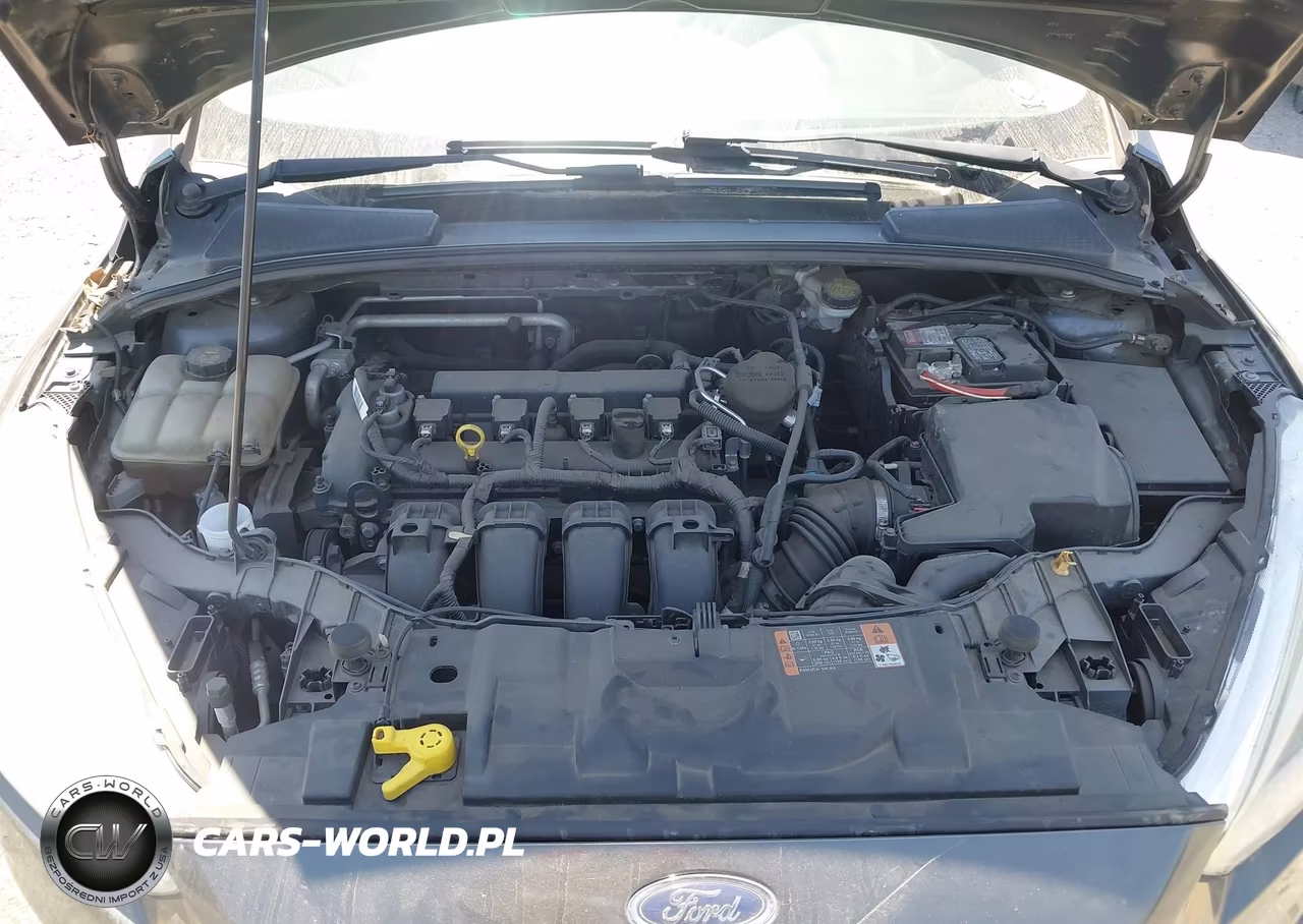 2015 Ford Focus Se VIN:1FADP3K26FL351408 - 10