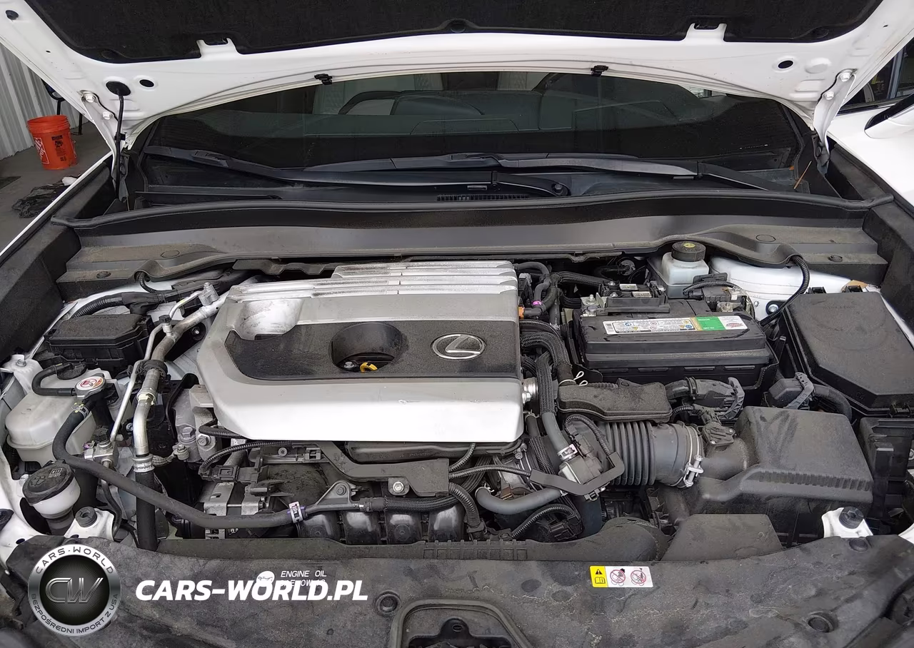 2020 Lexus Ux 200 VIN:JTHX3JBH7L2022776 - 10