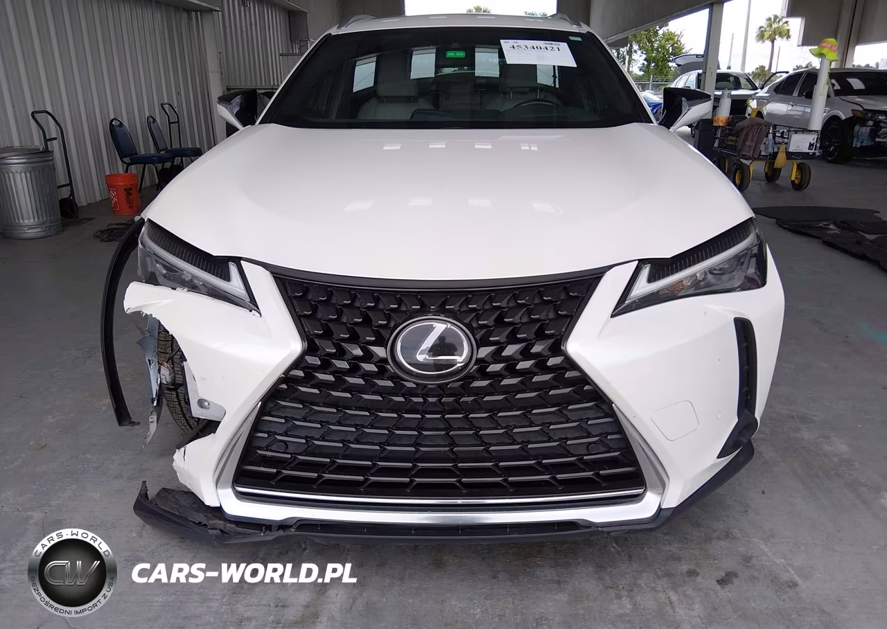 2020 Lexus Ux 200 VIN:JTHX3JBH7L2022776 - 13