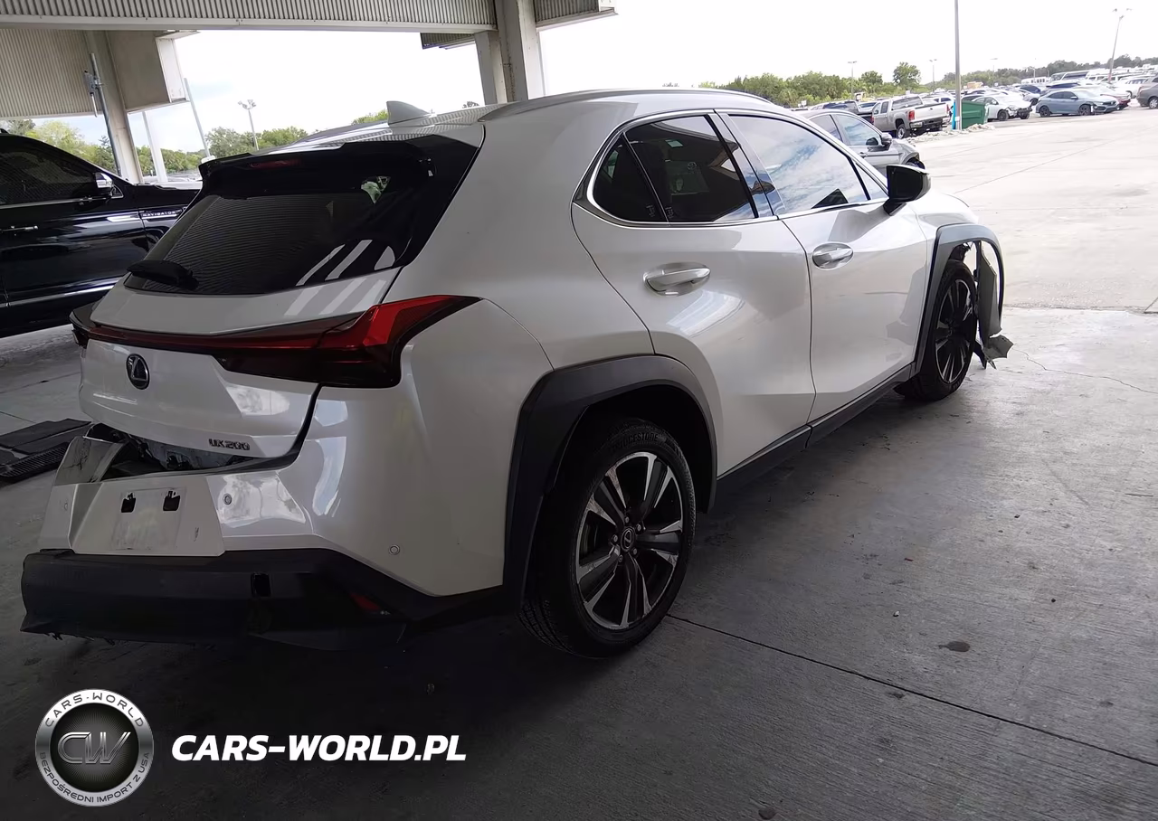 2020 Lexus Ux 200 VIN:JTHX3JBH7L2022776 - 4