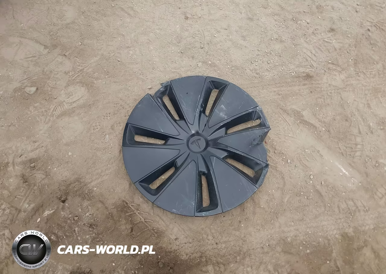 2025 Tesla Model 3 Long Range Rear-Wheel Drive-Standard Rear-Wheel Drive VIN:5YJ3E1EA3SF058646 - 10