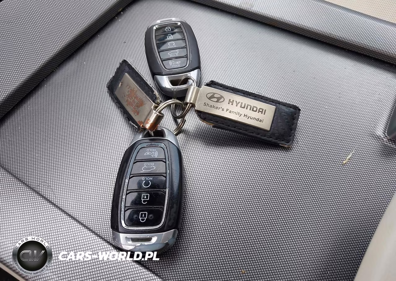 2020 Hyundai Palisade Limited VIN:KM8R5DHE8LU110609 - 11