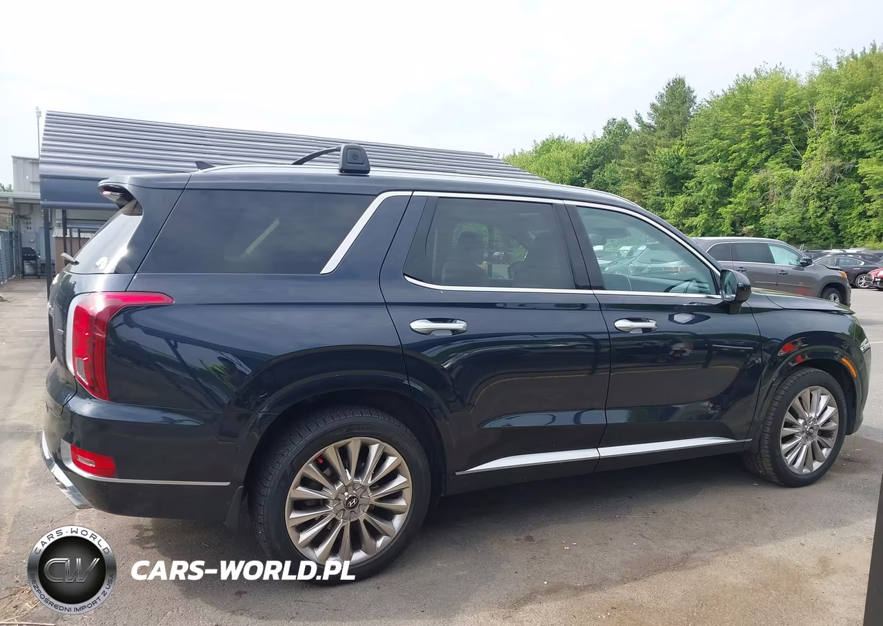 2020 Hyundai Palisade Limited VIN:KM8R5DHE8LU110609 - 13