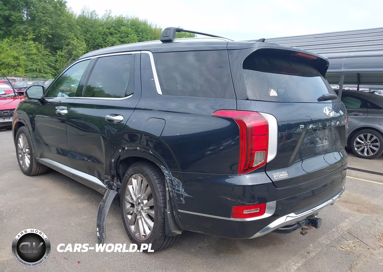2020 Hyundai Palisade Limited VIN:KM8R5DHE8LU110609 - 3