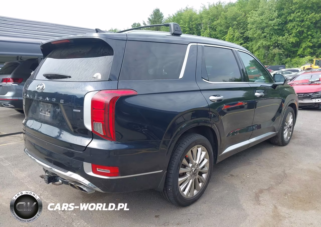 2020 Hyundai Palisade Limited VIN:KM8R5DHE8LU110609 - 4