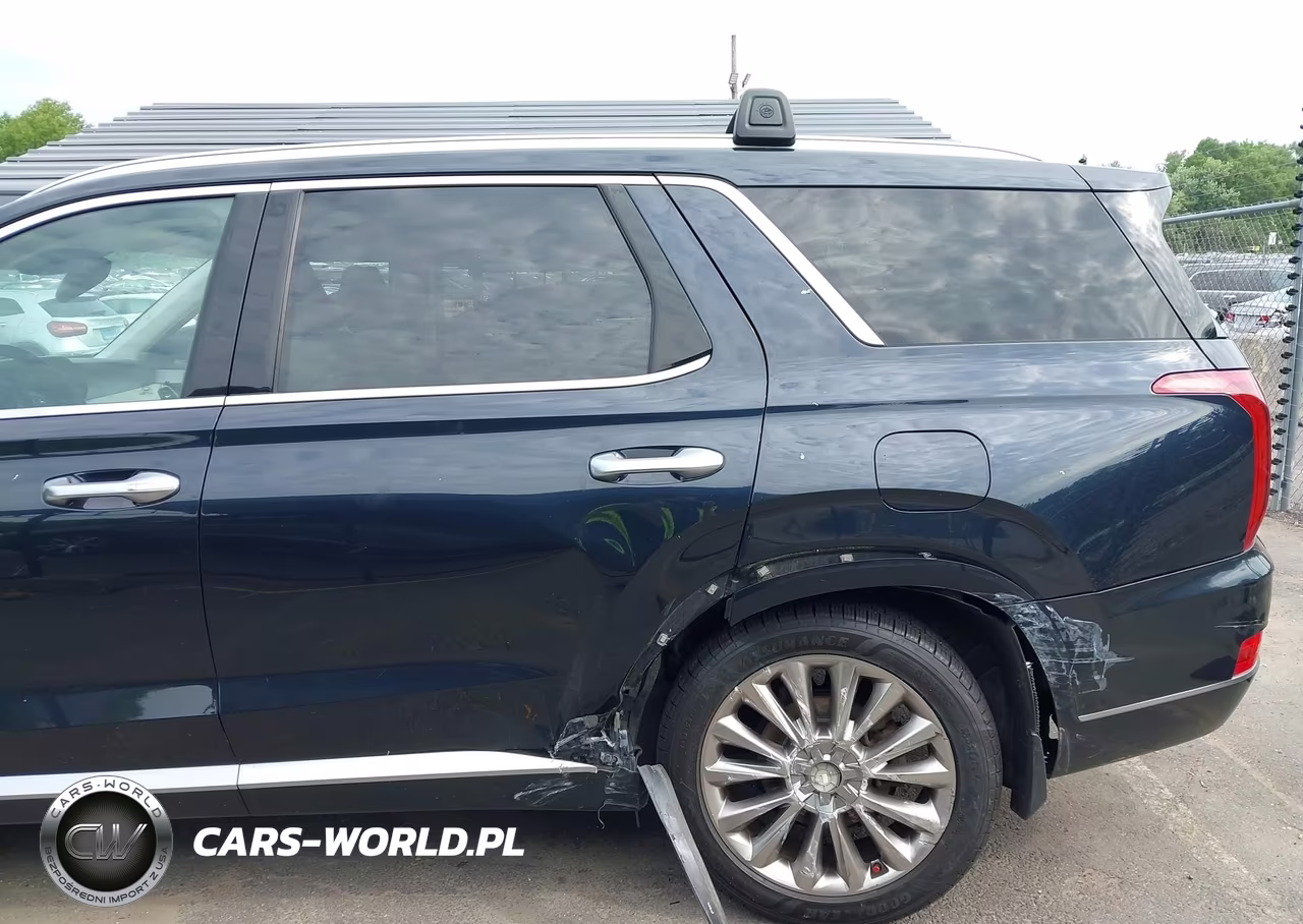 2020 Hyundai Palisade Limited VIN:KM8R5DHE8LU110609 - 6