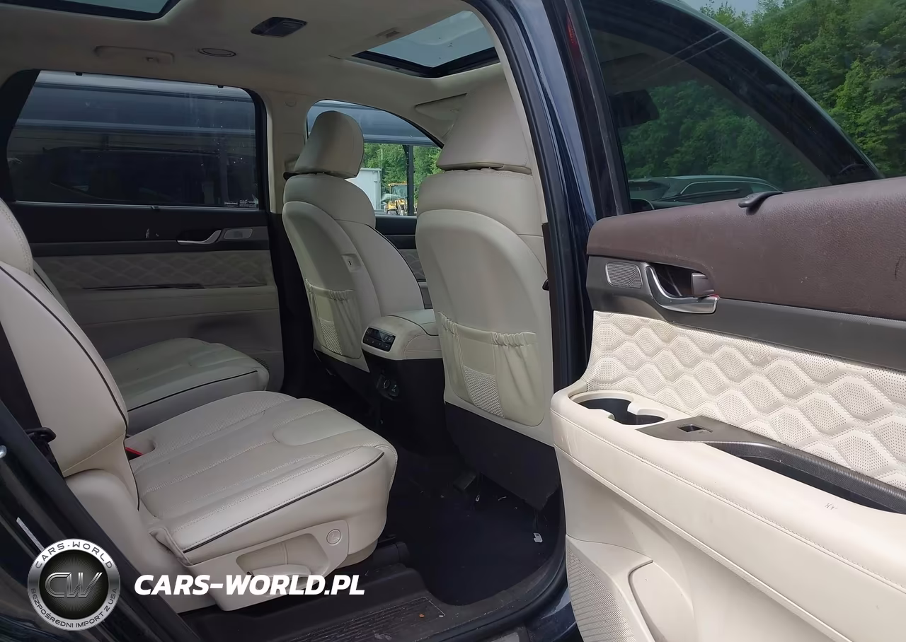 2020 Hyundai Palisade Limited VIN:KM8R5DHE8LU110609 - 8