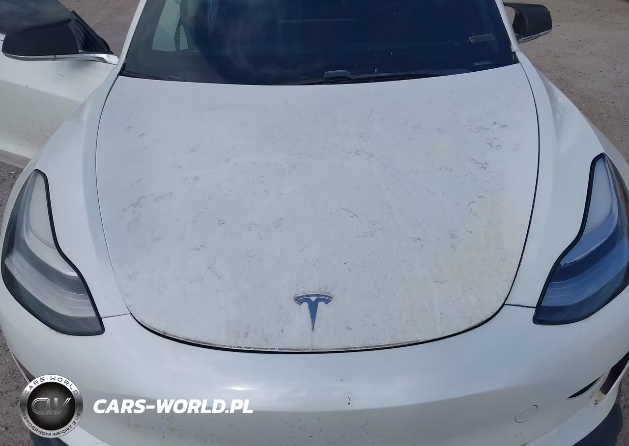 2019 Tesla Model 3 VIN:5YJ3E1EA4KF299955 - 10