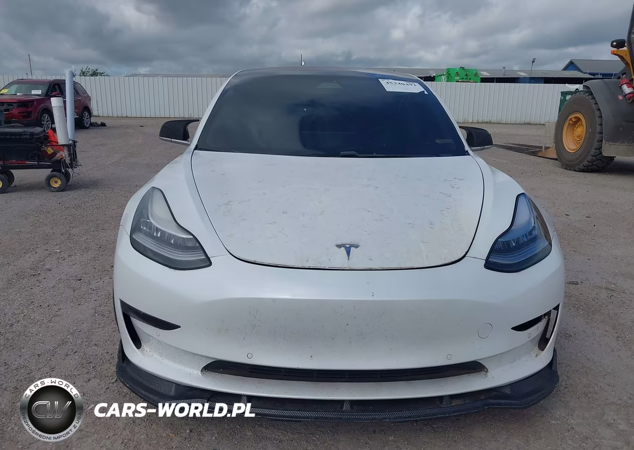 2019 Tesla Model 3 VIN:5YJ3E1EA4KF299955 - 12