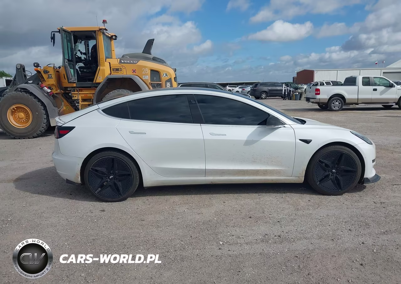 2019 Tesla Model 3 VIN:5YJ3E1EA4KF299955 - 13