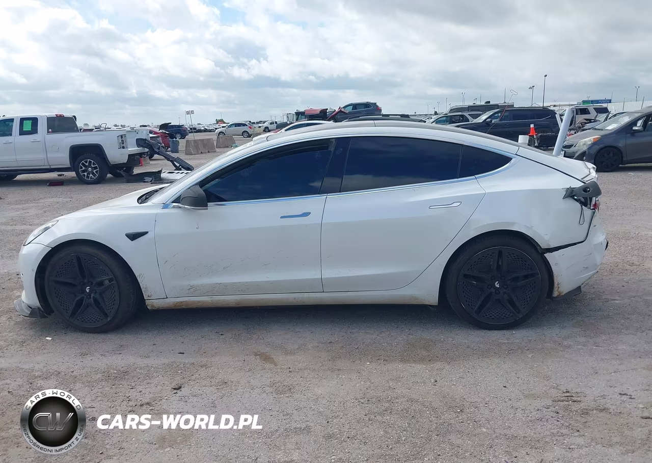 2019 Tesla Model 3 VIN:5YJ3E1EA4KF299955 - 14