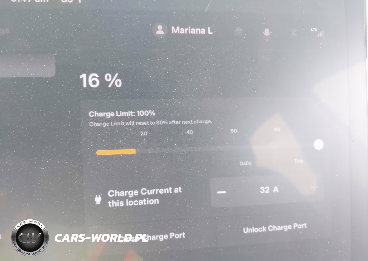 2019 Tesla Model 3 VIN:5YJ3E1EA4KF299955 - 17