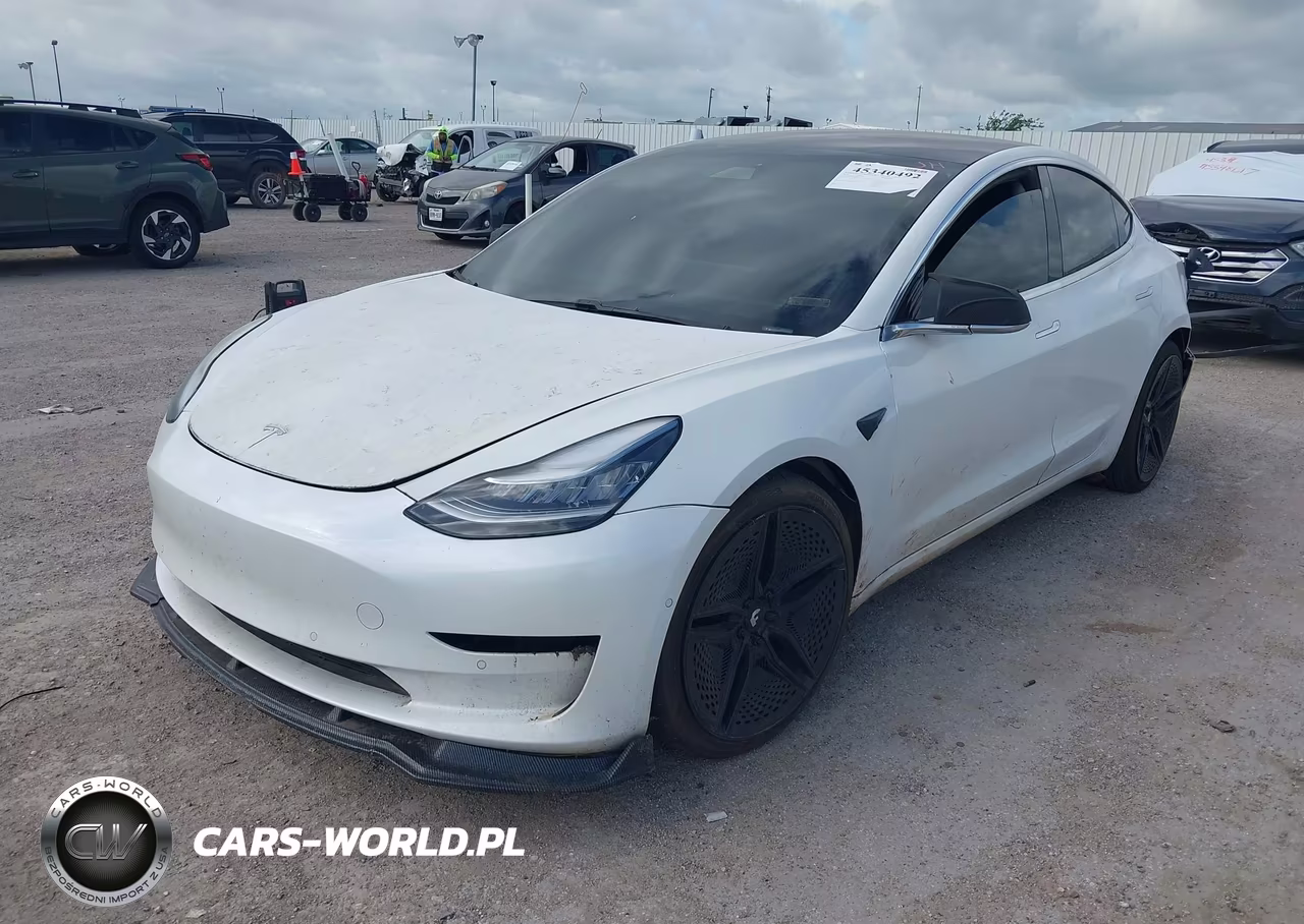 2019 Tesla Model 3 VIN:5YJ3E1EA4KF299955 - 2