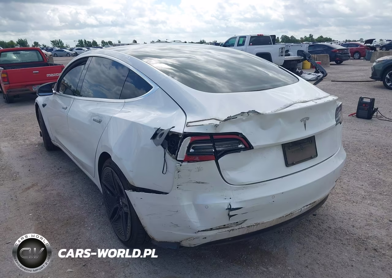 2019 Tesla Model 3 VIN:5YJ3E1EA4KF299955 - 3