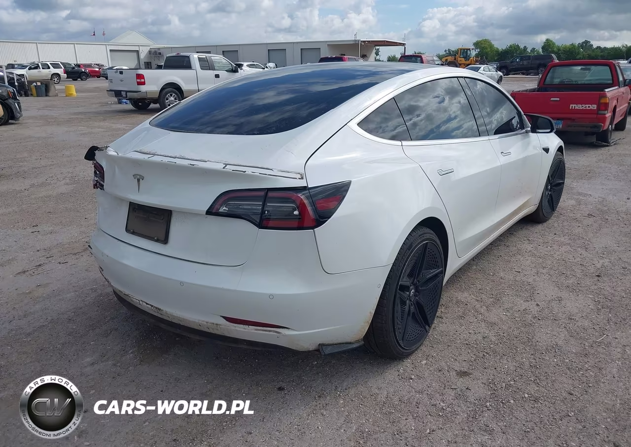 2019 Tesla Model 3 VIN:5YJ3E1EA4KF299955 - 4