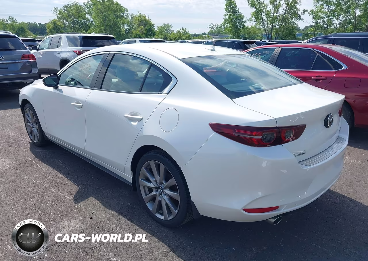 2019 Mazda Mazda3 Premium Package VIN:3MZBPAEM3KM103271 - 3