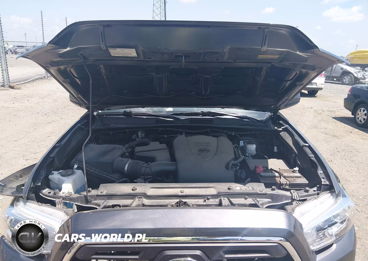 2018 Toyota Tacoma Sr5 V6 VIN:3TMCZ5ANXJM184579 - 10