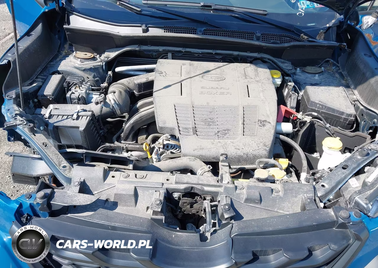 2024 Subaru Forester Wilderness VIN:JF2SKAJC5RH420015 - 10