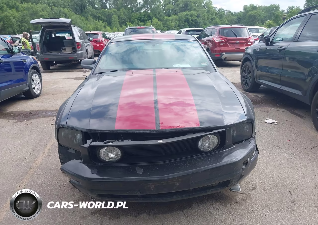 2009 Ford Mustang V6 VIN:1ZVHT80N195102456 - 12