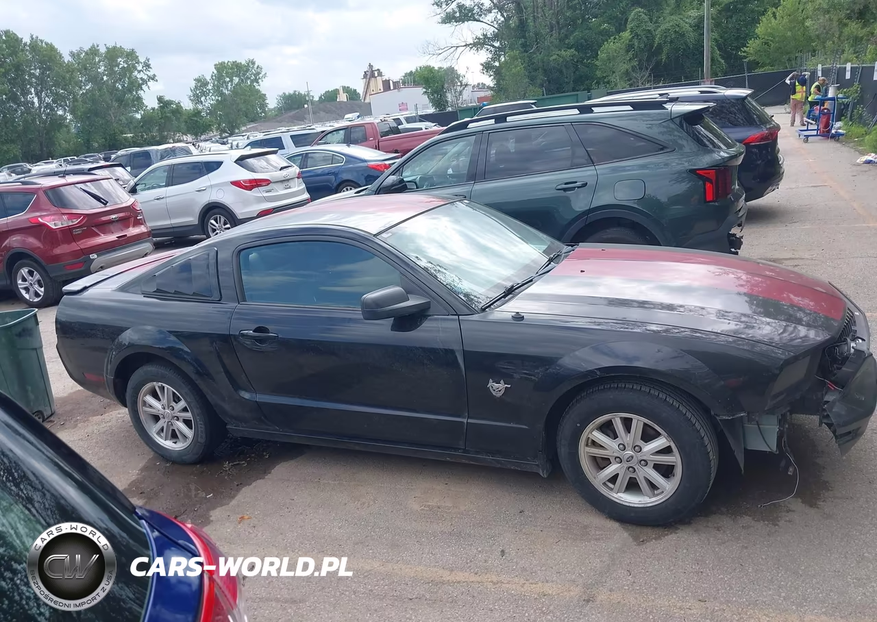 2009 Ford Mustang V6 VIN:1ZVHT80N195102456 - 13