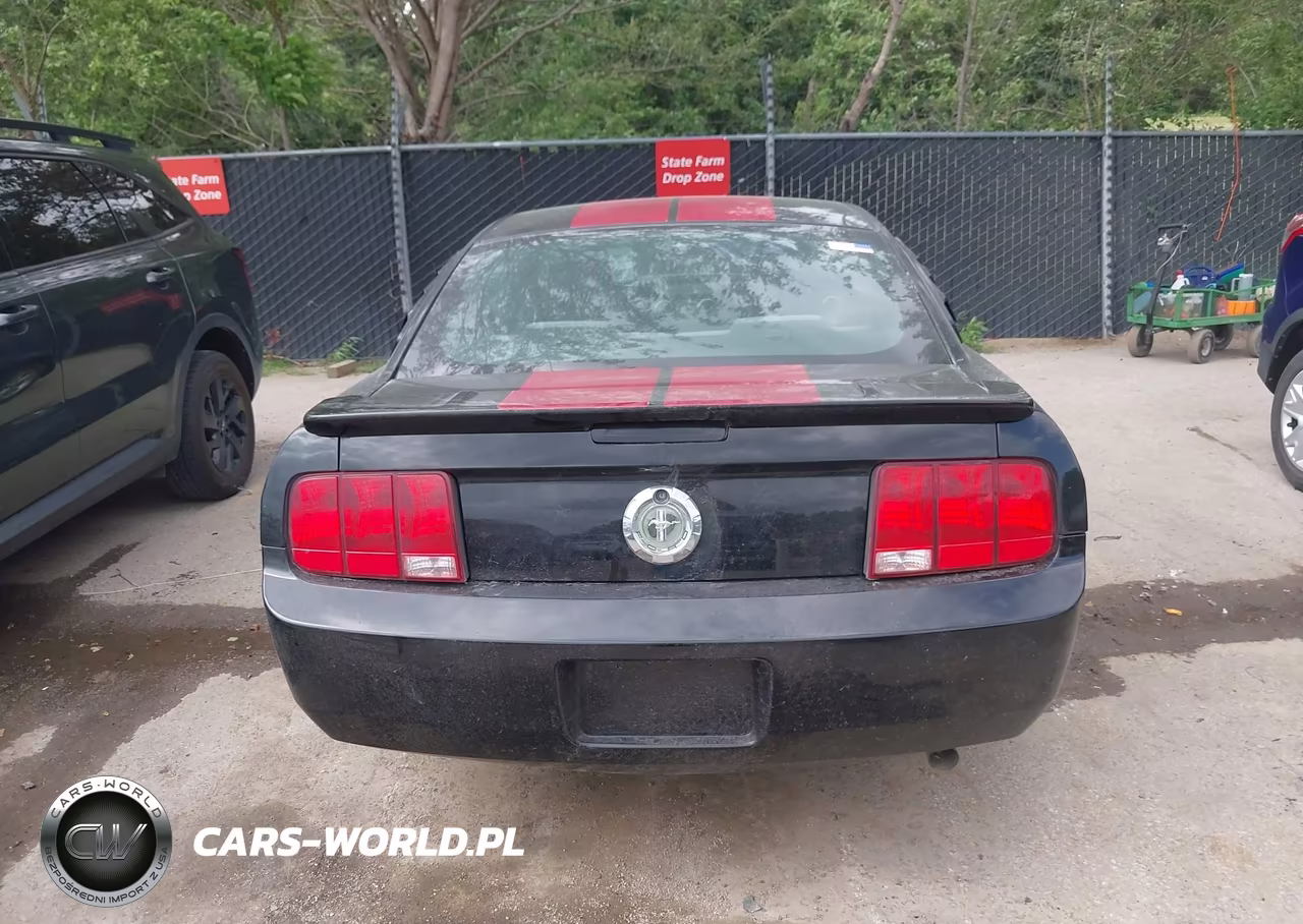 2009 Ford Mustang V6 VIN:1ZVHT80N195102456 - 16