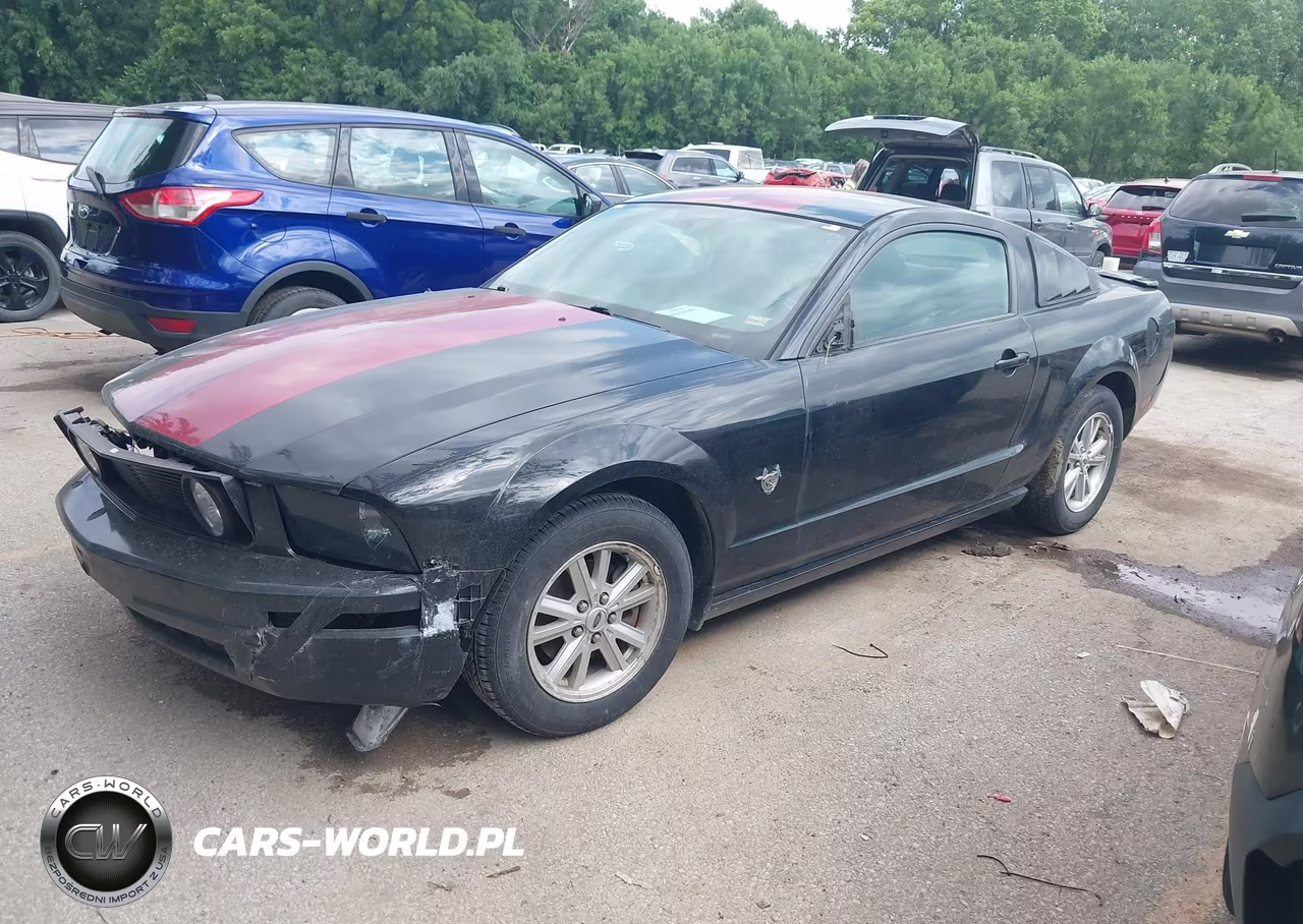 2009 Ford Mustang V6 VIN:1ZVHT80N195102456 - 2