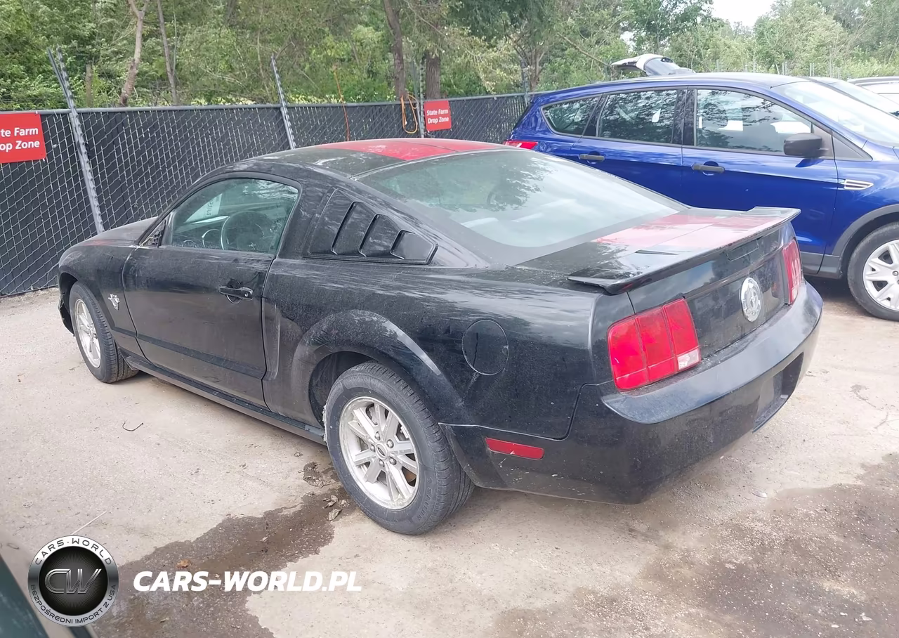 2009 Ford Mustang V6 VIN:1ZVHT80N195102456 - 3