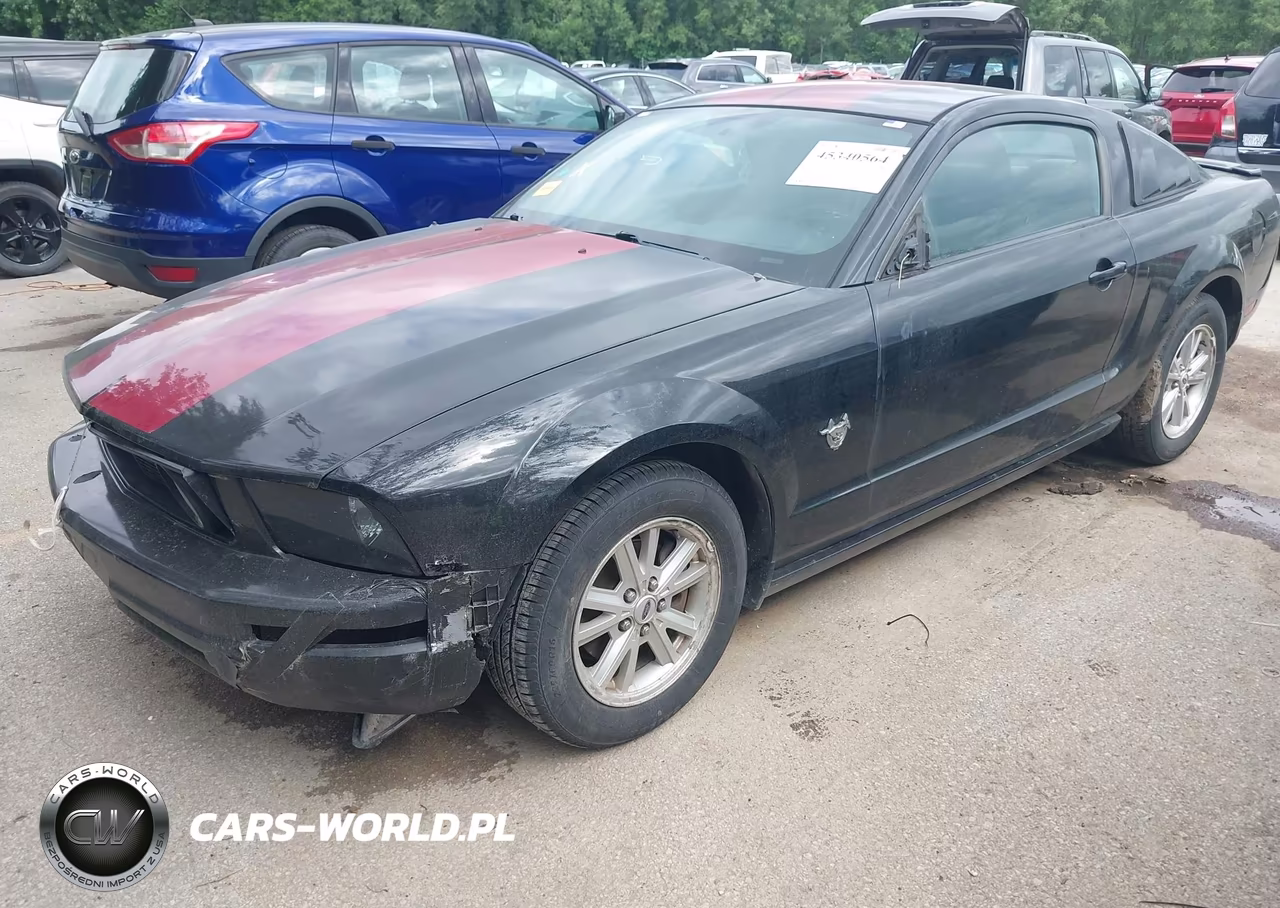 2009 Ford Mustang V6 VIN:1ZVHT80N195102456 - 6