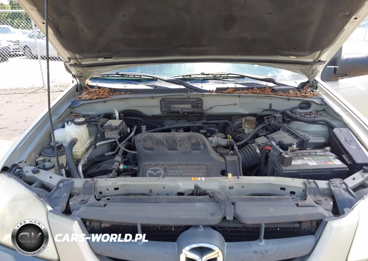 2004 Mazda Tribute Es V6 VIN:4F2CZ96144KM24699 - 10
