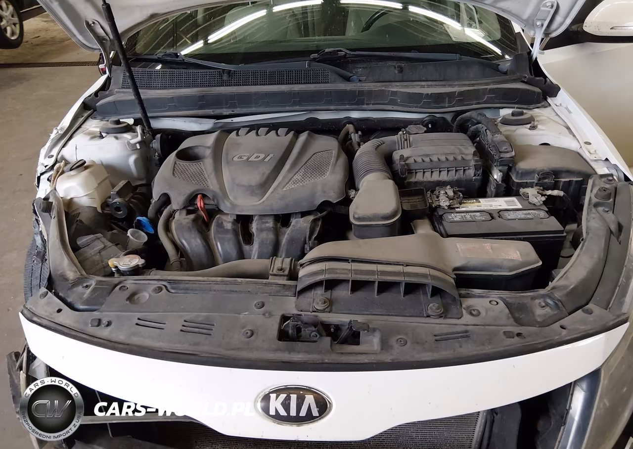 2013 Kia Optima Ex VIN:5XXGN4A73DG126425 - 10