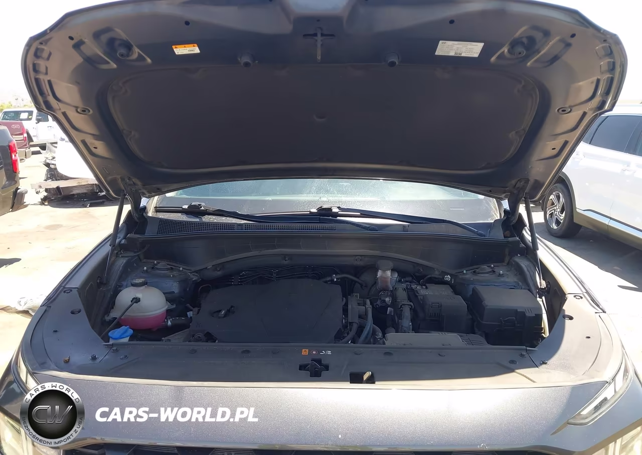 2023 Hyundai Santa Fe Sel VIN:5NMS2DAJXPH601539 - 10