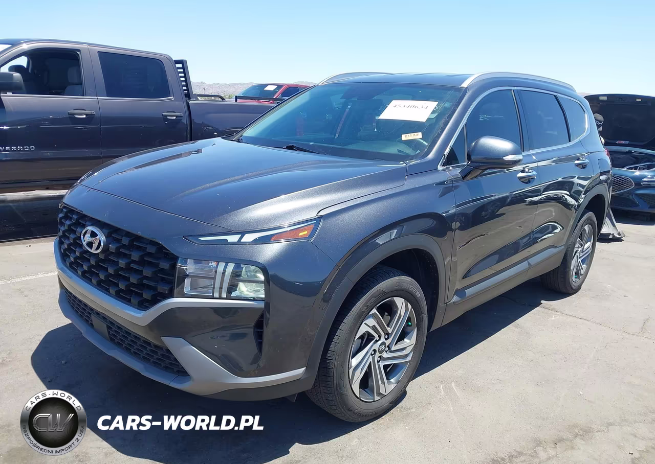 2023 Hyundai Santa Fe Sel VIN:5NMS2DAJXPH601539 - 2