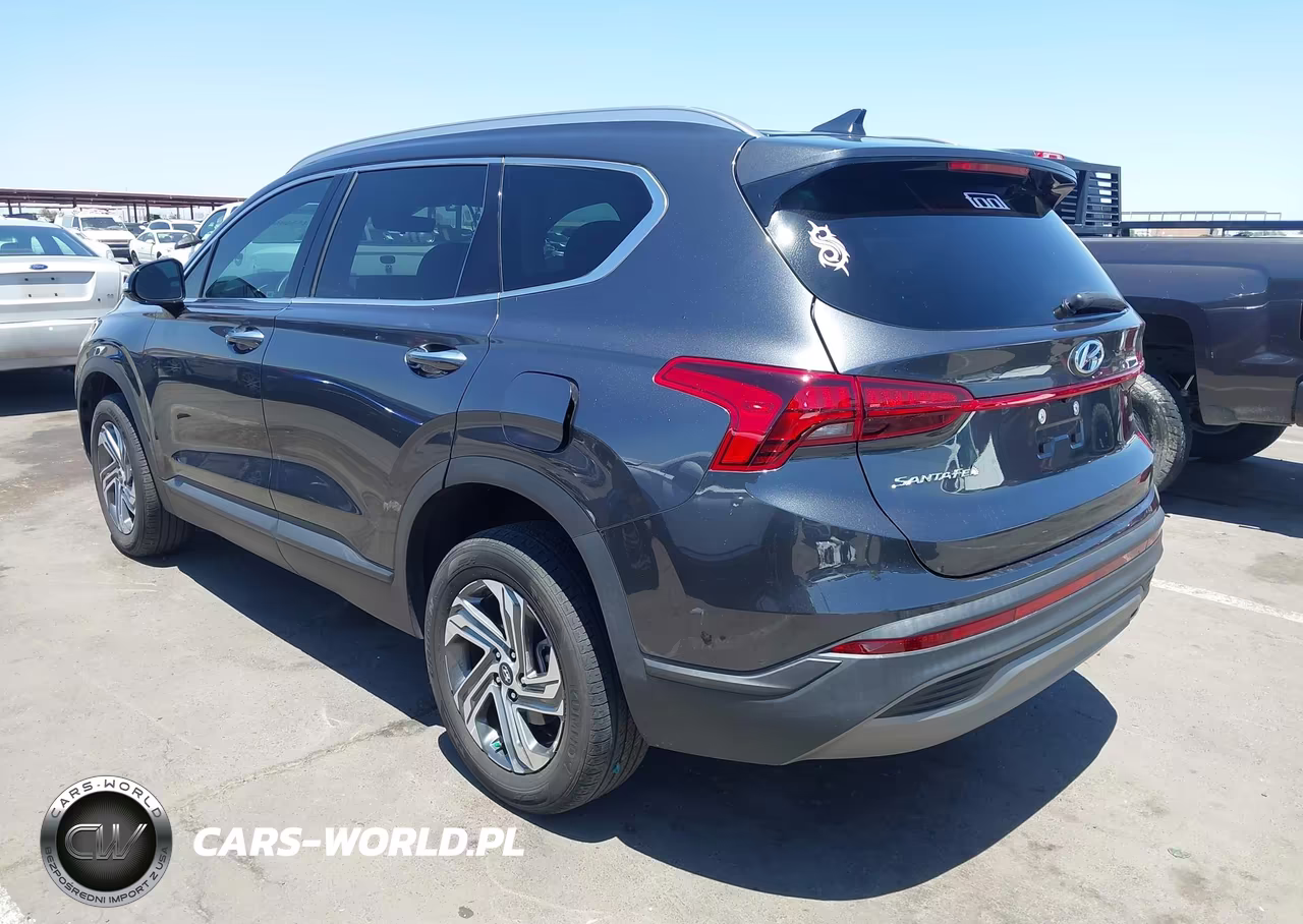 2023 Hyundai Santa Fe Sel VIN:5NMS2DAJXPH601539 - 3