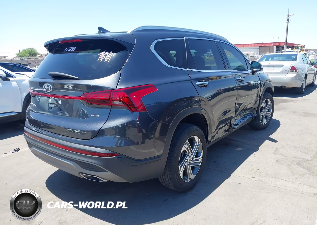 2023 Hyundai Santa Fe Sel VIN:5NMS2DAJXPH601539 - 4