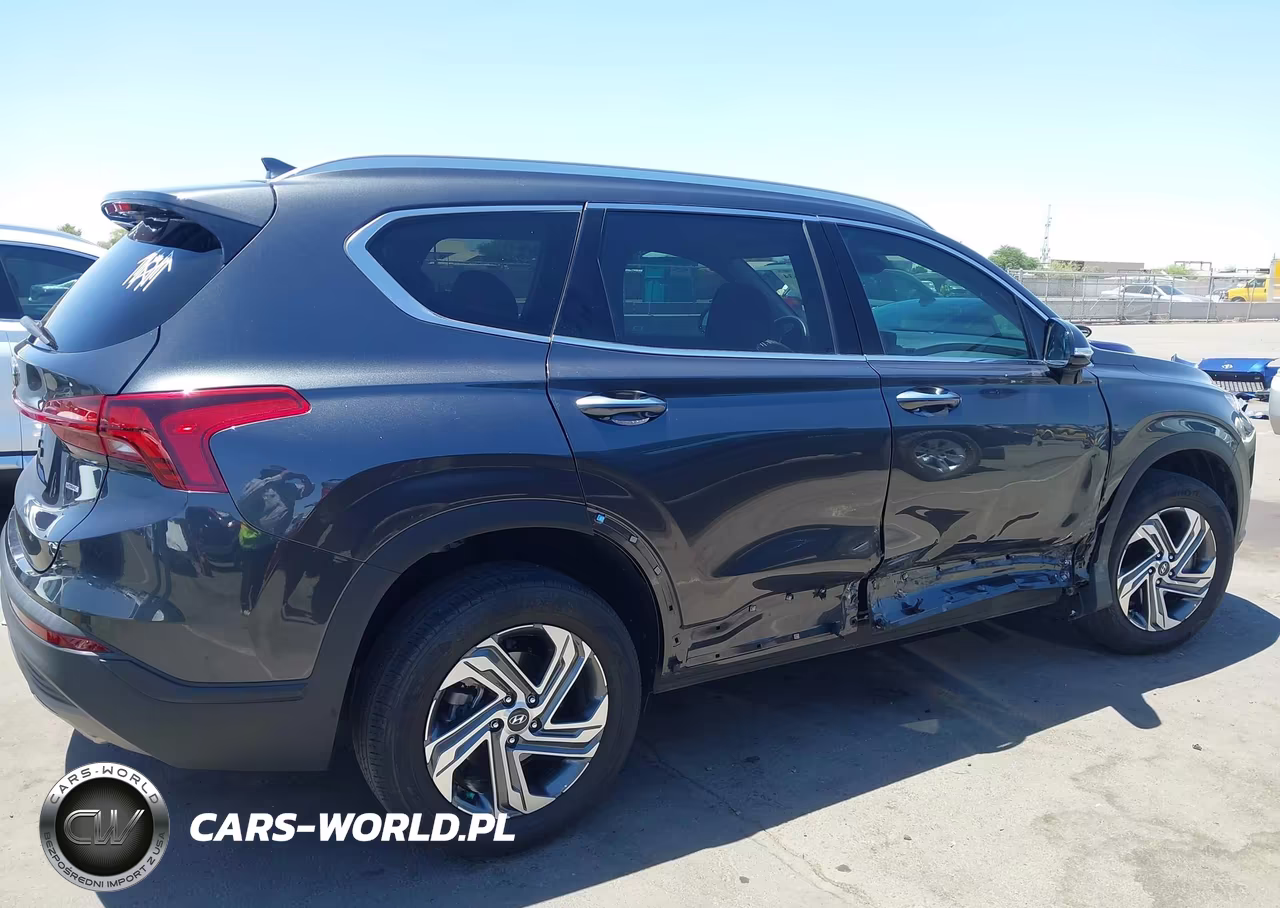 2023 Hyundai Santa Fe Sel VIN:5NMS2DAJXPH601539 - 6