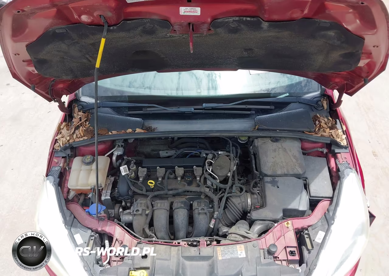 2015 Ford Focus Se VIN:1FADP3F26FL248418 - 10