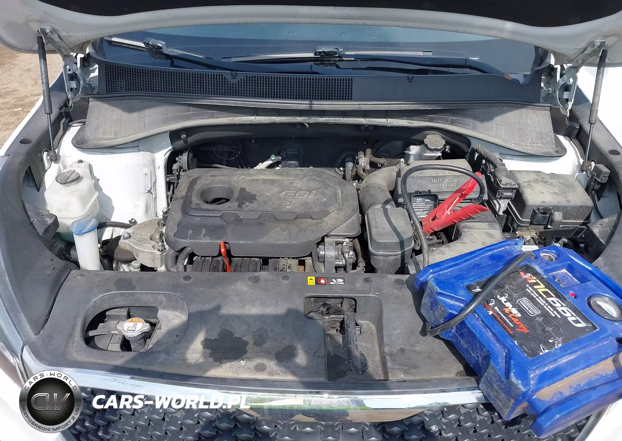 2016 Kia Sorento 2.4L Lx VIN:5XYPGDA30GG155405 - 10