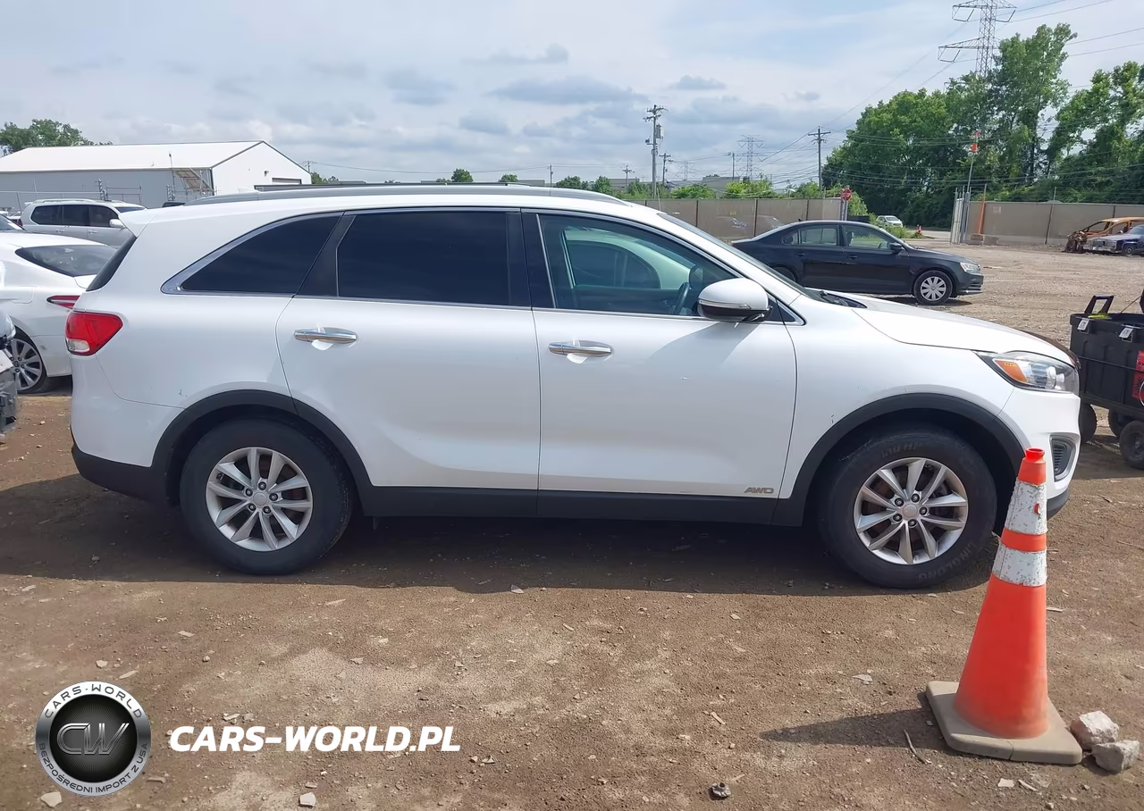 2016 Kia Sorento 2.4L Lx VIN:5XYPGDA30GG155405 - 13