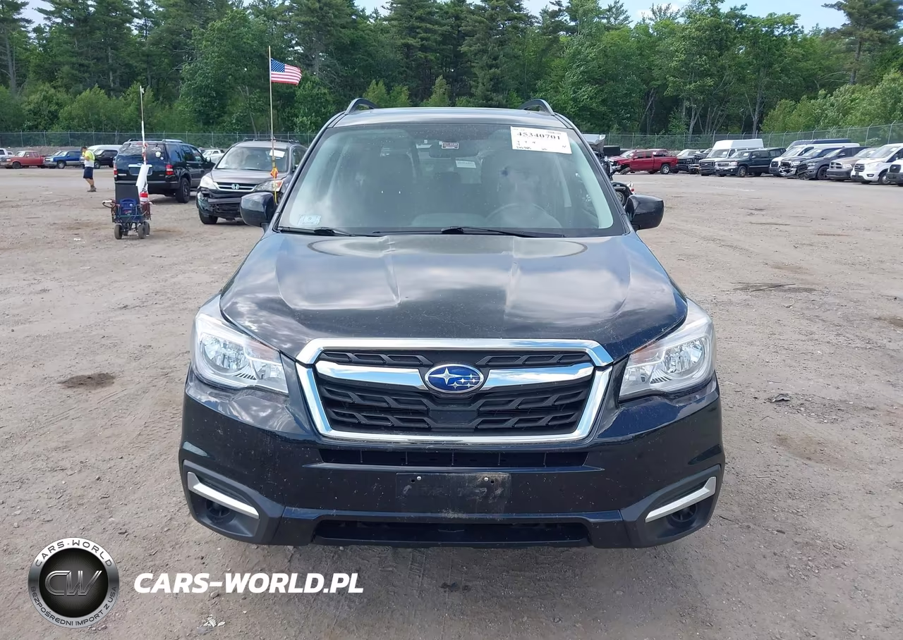 2017 Subaru Forester 2.5I Premium VIN:JF2SJAEC1HH515487 - 12