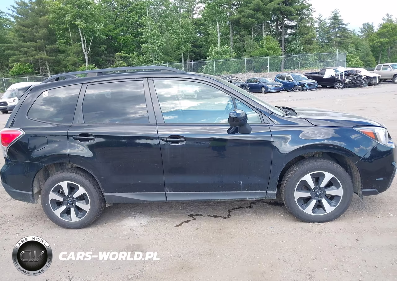 2017 Subaru Forester 2.5I Premium VIN:JF2SJAEC1HH515487 - 13