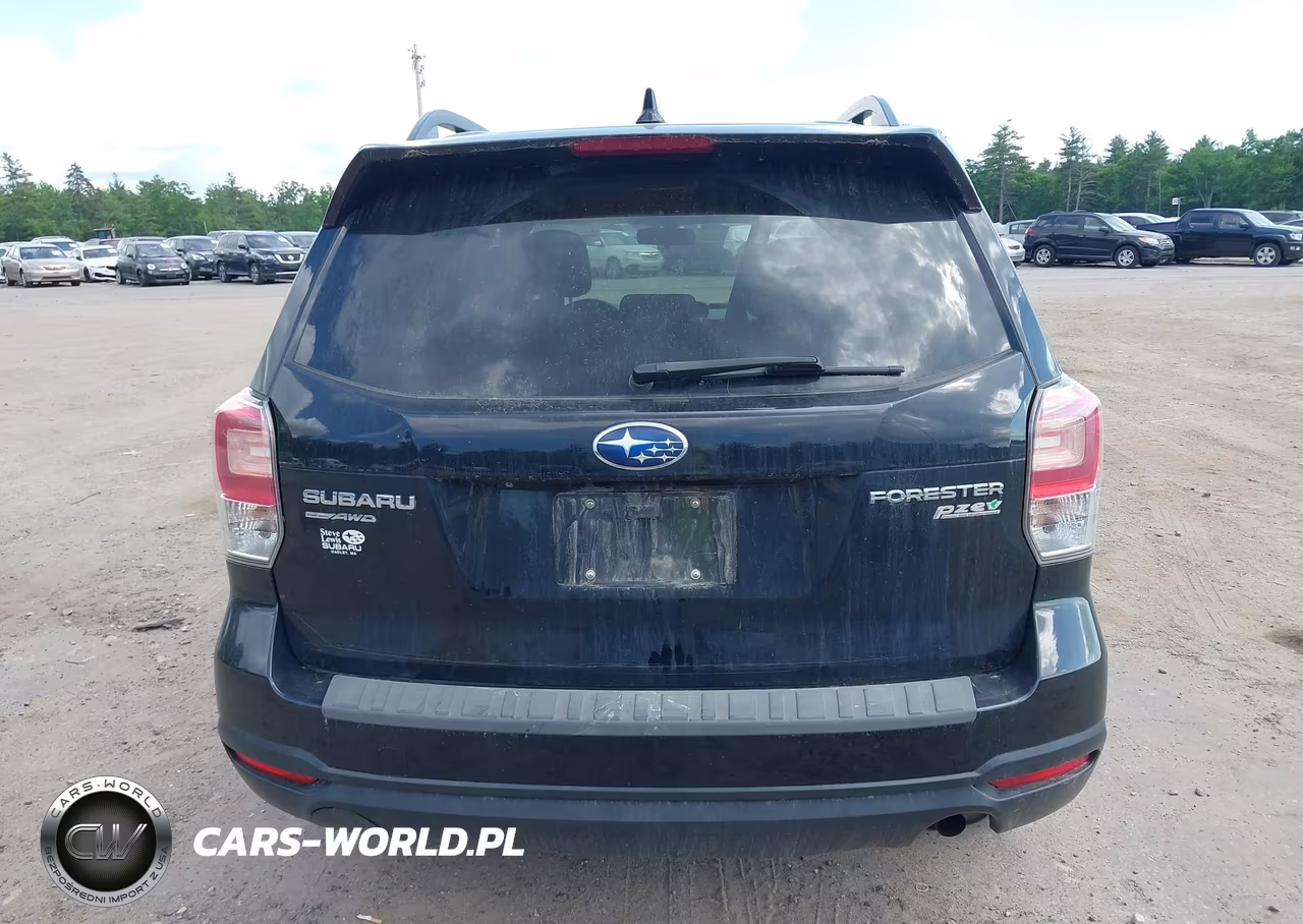 2017 Subaru Forester 2.5I Premium VIN:JF2SJAEC1HH515487 - 16