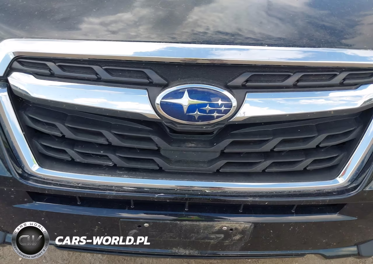 2017 Subaru Forester 2.5I Premium VIN:JF2SJAEC1HH515487 - 6