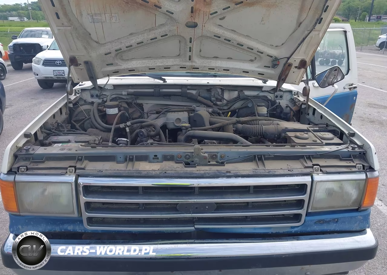 1990 Ford F150 VIN:1FTEF14Y5LLA12691 - 10