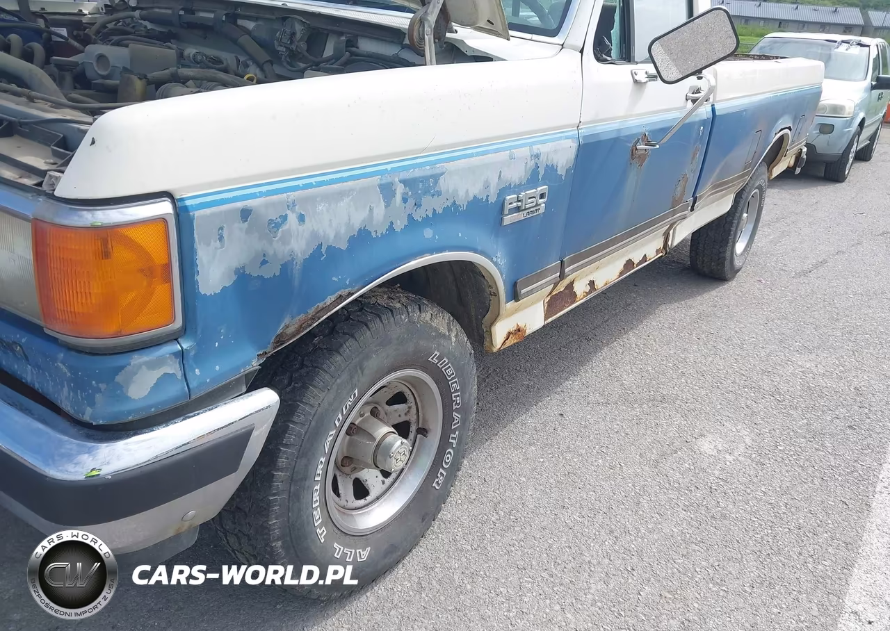 1990 Ford F150 VIN:1FTEF14Y5LLA12691 - 6